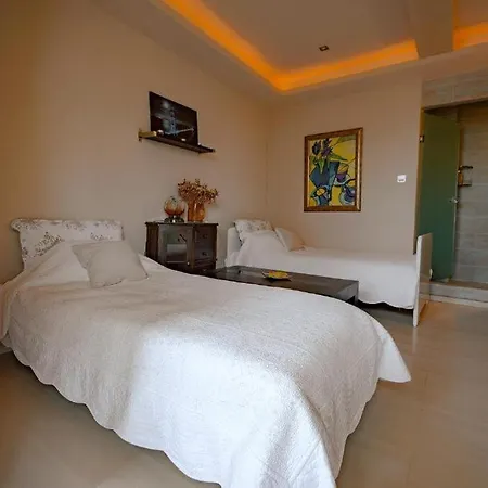 Evexia Suite, Βόλος